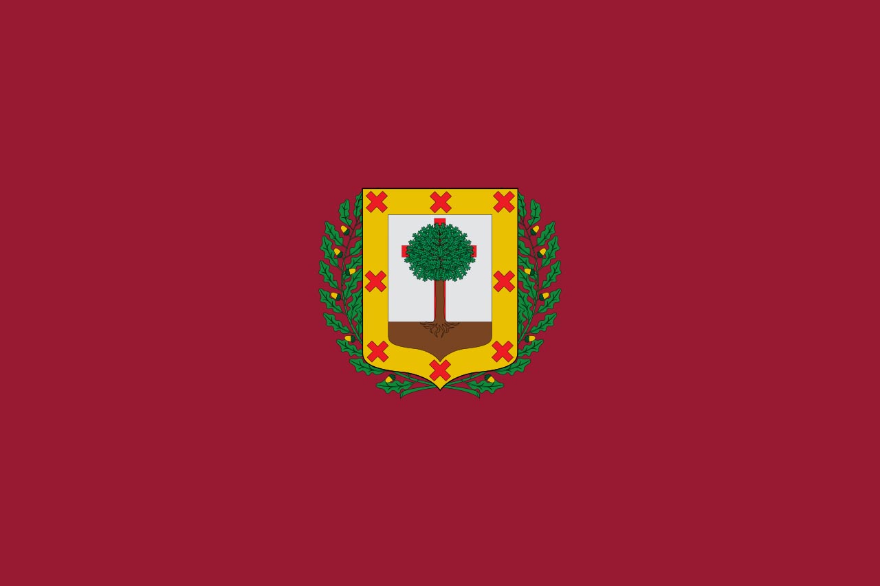 Флаг провинции Бискайя  (Vizcaya)