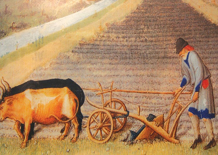 Сельское хозяйство Испании в первой половине XVI века
